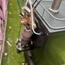 Beer Dispenser Image 5