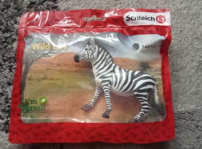 New Schleich Zebra