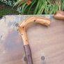 blackthorn walking sticks Image 6