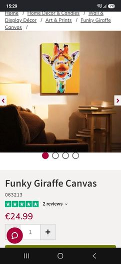Funky Giraffe Canvas, picture