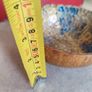 Thai Coconut Shell shell available - Farang Colour Name: Dark Blue and Gold Image 3