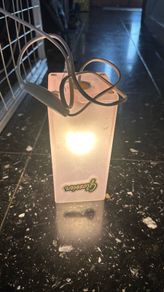 Hanging lamp