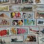 Cigarette   Cards Image 4