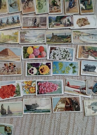 Cigarette   Cards