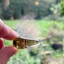 Vintage Cola Colour (Yellow Brown) Glass Chunky Ring Image 8