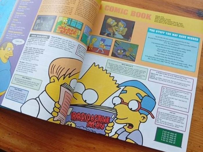 The Simpsons books