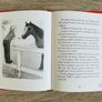 Our Generation Doll, Horse & Storybook Image 4