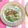 Vintage Bird plates Image 2