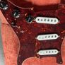 Fender custom shop 69 pickups Image 2