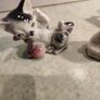 Rare find  VINTAGE PORCELAIN MARKED foreign 2 Cat Figurine.Cats Playing With Ball Figurine Image 4