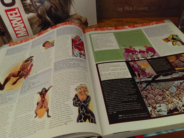 The DC Comics Encyclopedia ! The Definitive Guide To The Characters Of The DC Universe ! Beautiful Hardback !
