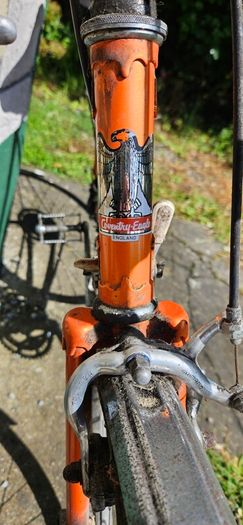 Free Bicycle