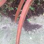 26" Edwardian Mahogany Sewing Basket Image 6