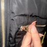 Black Padded Coat Image 5