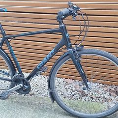 Giant Escape city bike