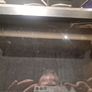 fish tank Image 3