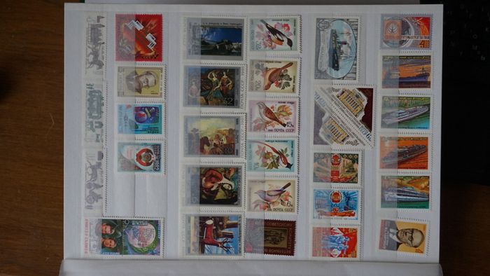 stamps 1981 y. USSR