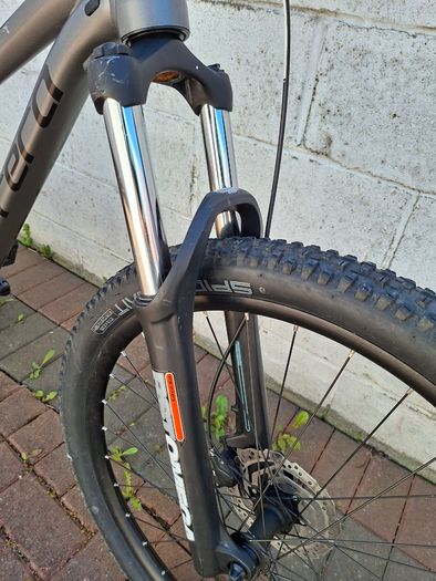 Carrera Sulcata 3.1