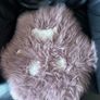 Bama Nido Plastic Pet Bed with plush cushion Image 3