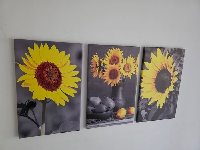 3 canvas framed 35x55cm