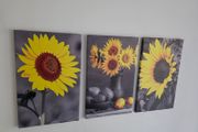 3 canvas framed 35x55cm