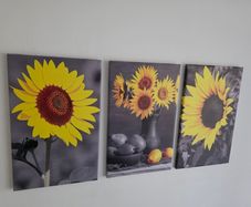 3 canvas framed 35x55cm