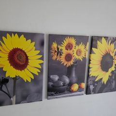 3 canvas framed 35x55cm