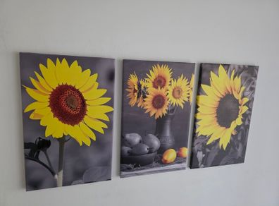 3 canvas framed 35x55cm