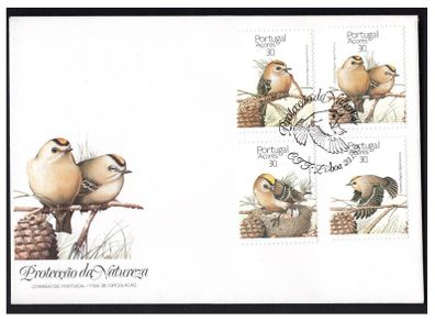 1989 Azores (Portugal) Nature Conservation Birds Commemorative Stamps First Day Cover (FDC).