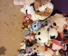 Stuffed toys, doll