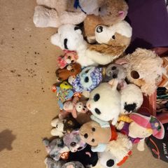 Stuffed toys, doll