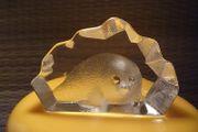Vintage Baby seal  paperweight/ collectable