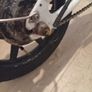 ebike Image 3
