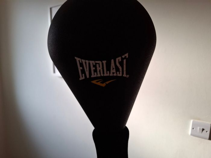 Boxing speed ball