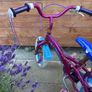 14 inch bike Image 3