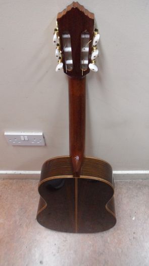 Ortega Electro-Classical Guitar (RE159RWSN)