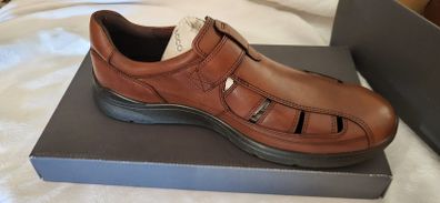 shoe