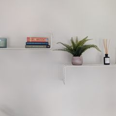 Shelves