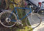Raleigh Stratos