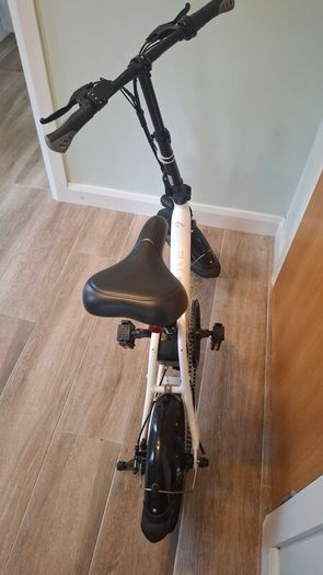 Fiido D3 Pro Folding Electric Bike