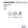 02 (C) Cornflower Double Ball Blue seeds 1g (415113) Image 3