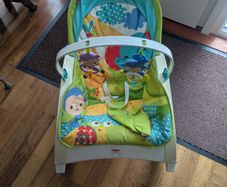 Fisher Price Toddler Seat