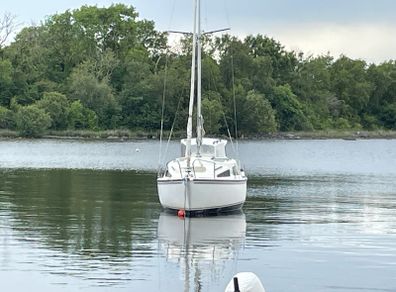 Leisure 20 bilge keel trailer sailer