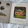 Julia Donaldson kids board book bundle Image 5