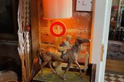 Rare 1920s Horse Racing Lamp