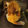 World of Warcraft Wind Rider Cub Plush + UNUSED In-Game Code Image 3