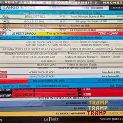 French Comic Book Collection (BD) - 24 Albums