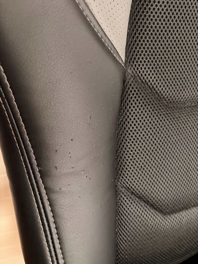 Office or Gaming Chair