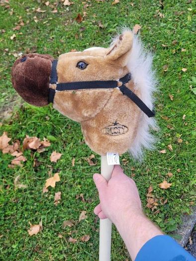 stick horse