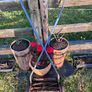Vintage Folbate push lawnmower Image 6